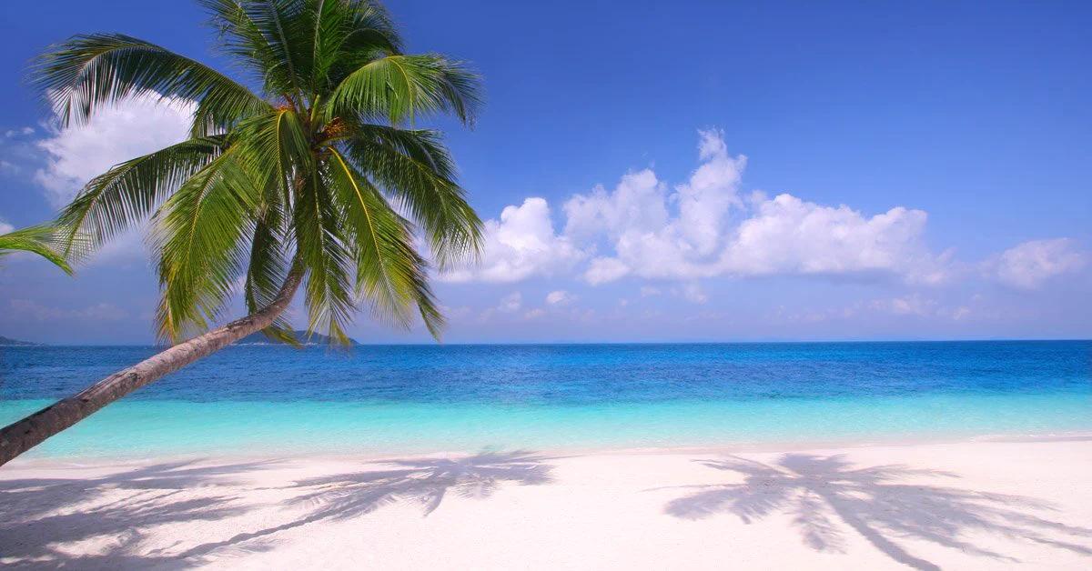 A tropical beach with white sand, clear turquoise water, and a leaning palm tree casting a shadow in the foreground under a bright blue sky with scattered clouds.