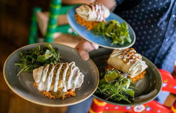 Three plates held by a person wearing a dark blue patterned shirt. Each plate contains a serving of rice topped with a stuffed burrito-like dish drizzled with white sauce, accompanied by a portion of mixed green salad. The plates are different colors—two are gray and one is blue. The background shows a wooden floor and colorful chairs.