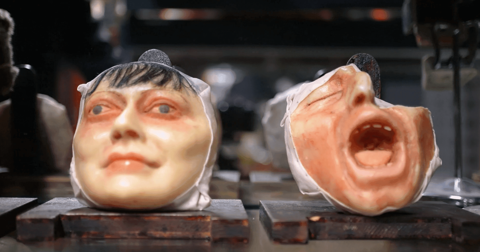 Two wax anatomical models of human heads displayed on wooden bases. The head on the left has a calm expression with eyes looking upward and dark hair, while the head on the right shows an expression of pain or agony with mouth wide open and eyes shut