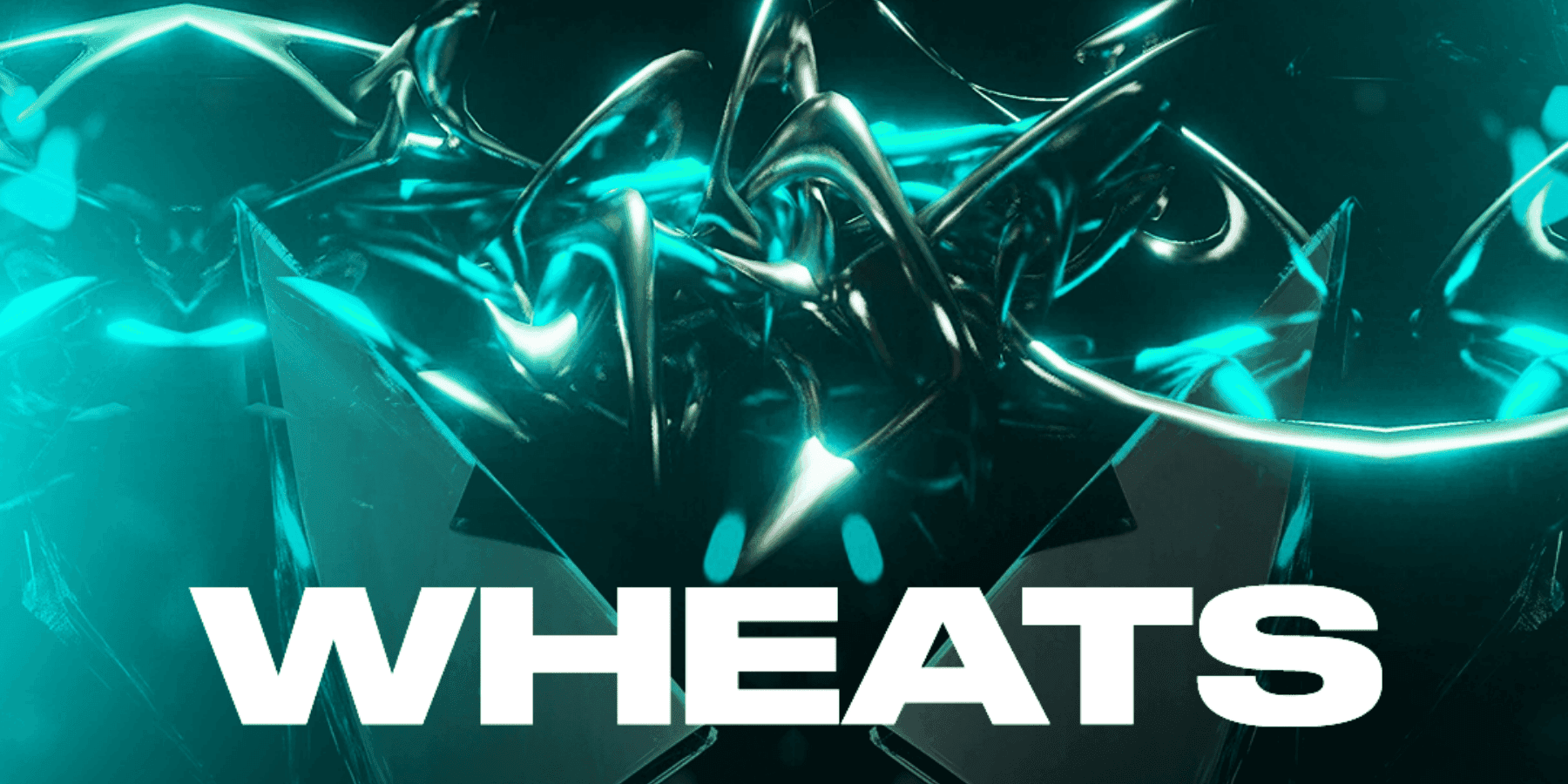 Wheats live music Dublin city centre